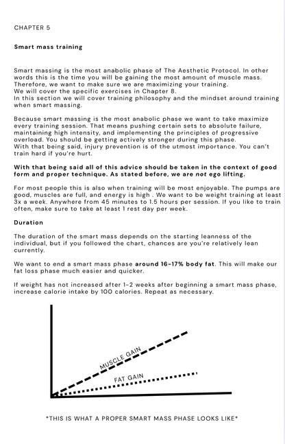 The Aesthetic Protocol