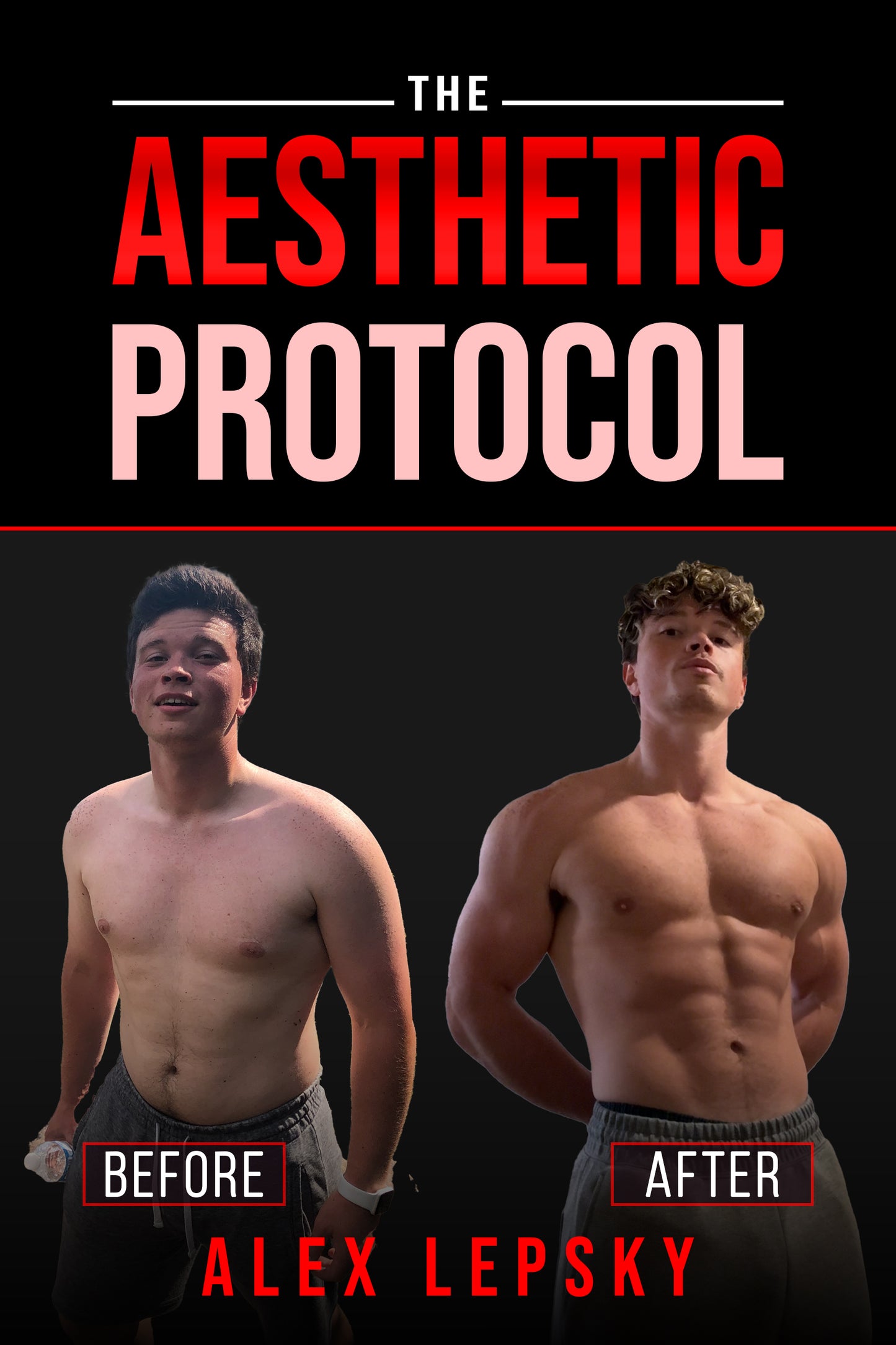 The Aesthetic Protocol